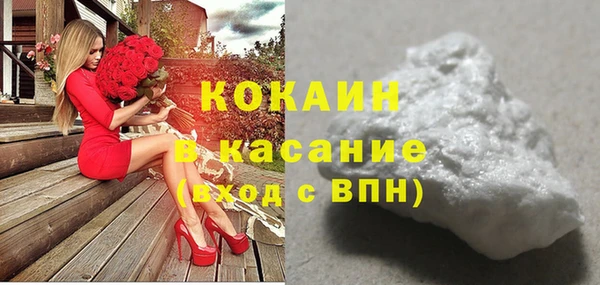 индика Аркадак
