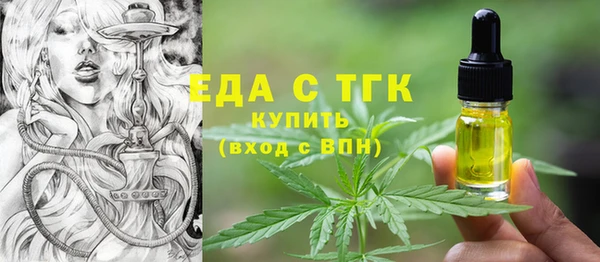 индика Аркадак
