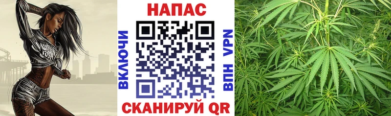 Каннабис MAZAR  Лагань 
